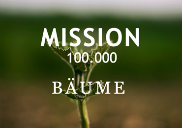 Bäume
